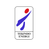 TE