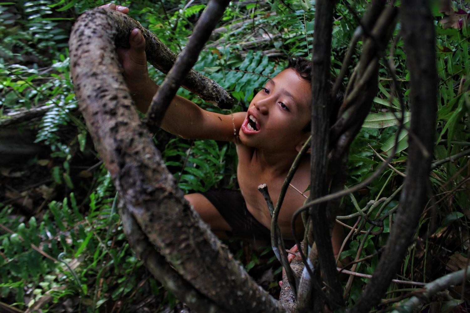 Anak-rimba